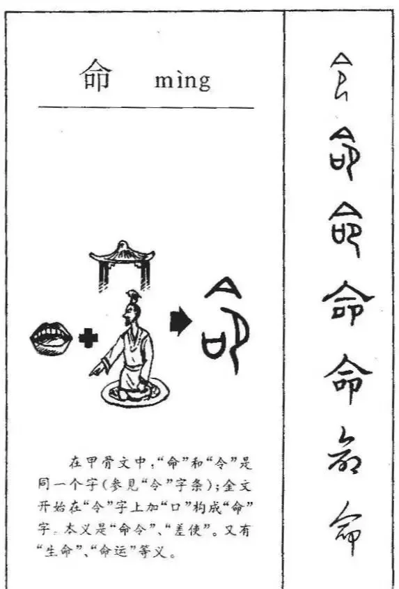 汉字"命"的书写秘籍：笔顺、部首及结构详解