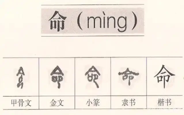 聚焦汉字 “命”：详解演变、拼音、组词及经典成语